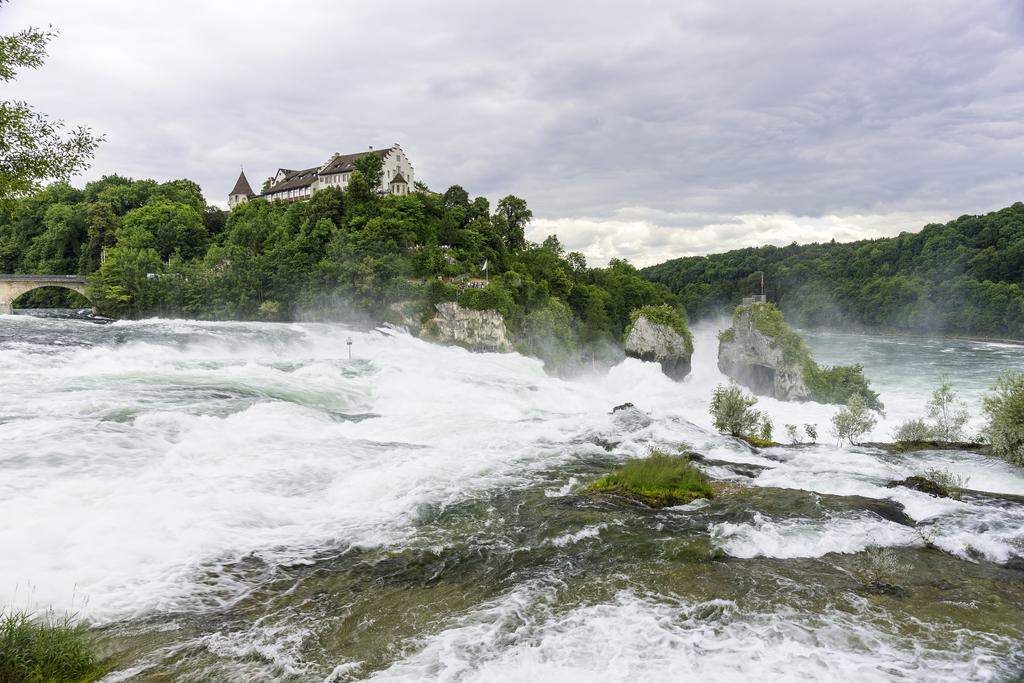 Rheingold Hotel 3*